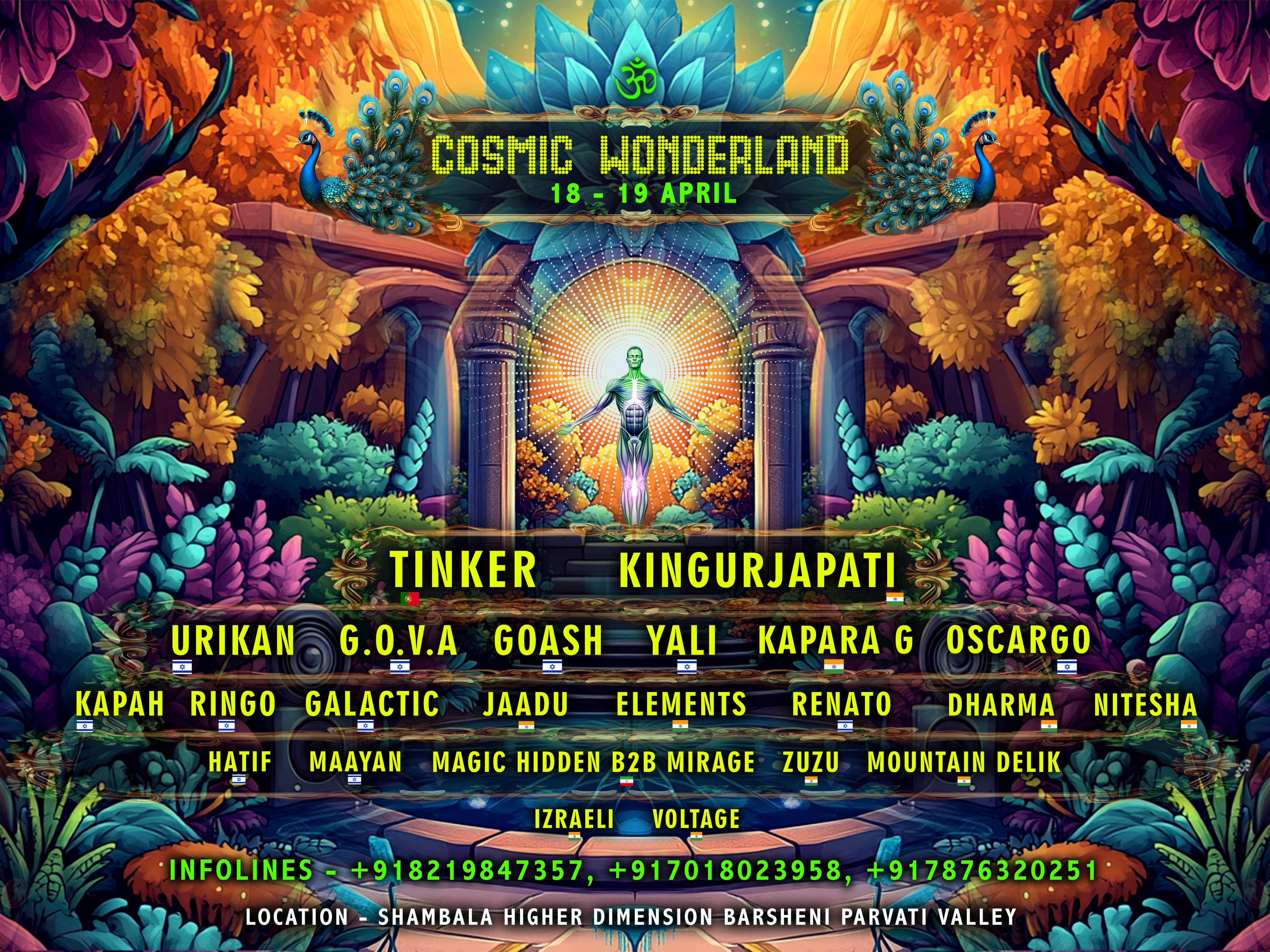 Cosmic Wonderland