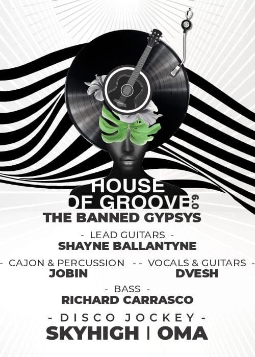 House Of Groove 6.0